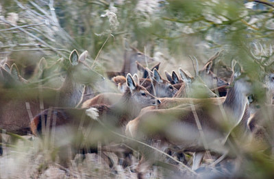 BUITEN BEELD Foto: 115696