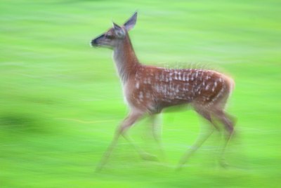 BUITEN BEELD Foto: 115715