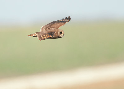 BUITEN BEELD Foto: 115734