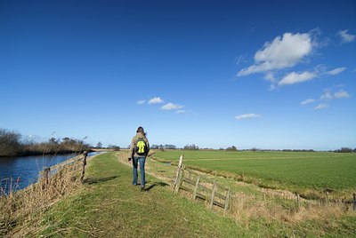 BUITEN BEELD Foto: 115802