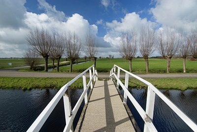 BUITEN BEELD Foto: 115811
