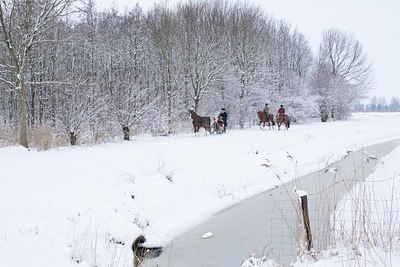 BUITEN BEELD Foto: 115835