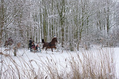 BUITEN BEELD Foto: 115840