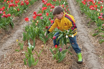 BUITEN BEELD Foto: 115860