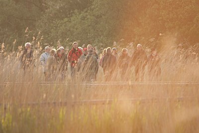 BUITEN BEELD Foto: 115880