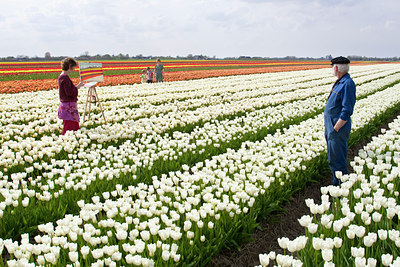BUITEN BEELD Foto: 115893