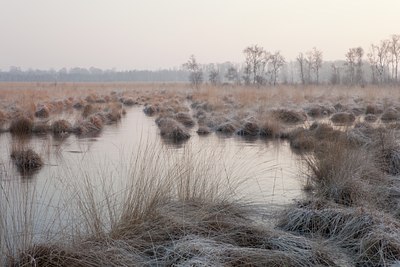 BUITEN BEELD Foto: 115898