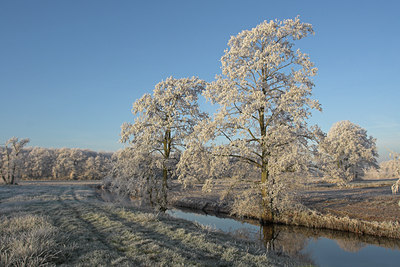 BUITEN BEELD Foto: 115902