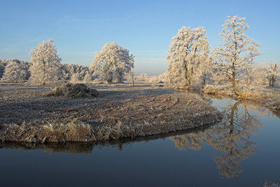 BUITEN BEELD Foto: 115905