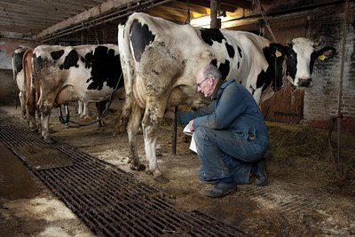 BUITEN BEELD Foto: 115912