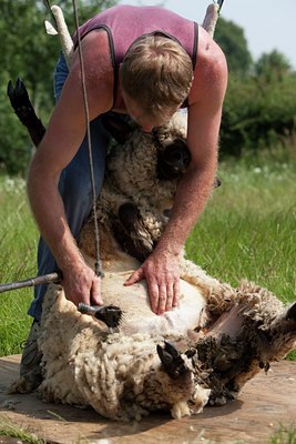 BUITEN BEELD Foto: 115922