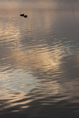 BUITEN BEELD Foto: 115967