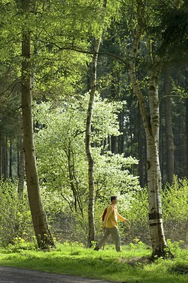 BUITEN BEELD Foto: 115971