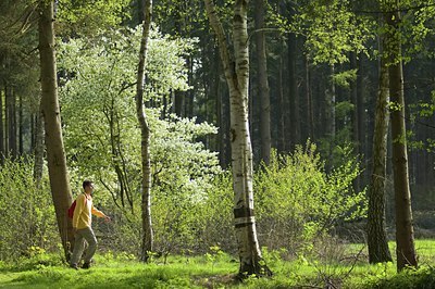 BUITEN BEELD Foto: 115972