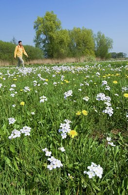 BUITEN BEELD Foto: 115979