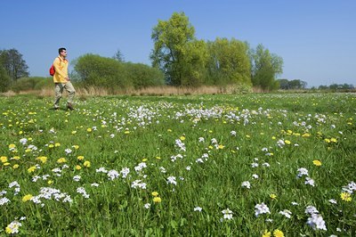 BUITEN BEELD Foto: 115981