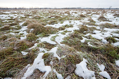BUITEN BEELD Foto: 115984