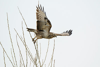 BUITEN BEELD Foto: 116003