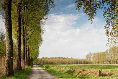 BUITEN BEELD Foto: 116013