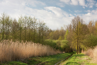 BUITEN BEELD Foto: 116014