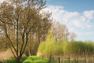 BUITEN BEELD Foto: 116016