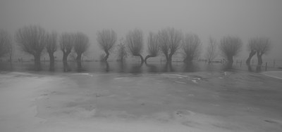 BUITEN BEELD Foto: 116022