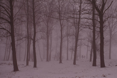 BUITEN BEELD Foto: 116024