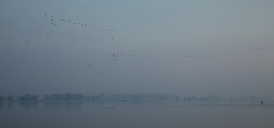 BUITEN BEELD Foto: 116031