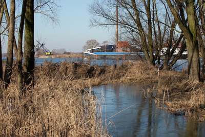 BUITEN BEELD Foto: 116050