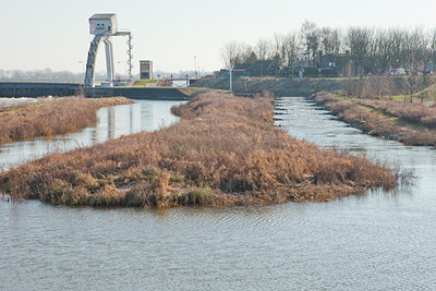 BUITEN BEELD Foto: 116057