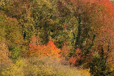 BUITEN BEELD Foto: 116073