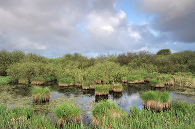 BUITEN BEELD Foto: 116139