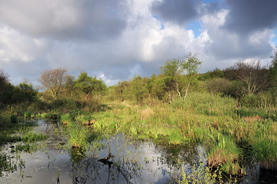 BUITEN BEELD Foto: 116232