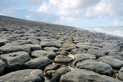 BUITEN BEELD Foto: 116239