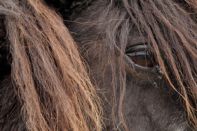BUITEN BEELD Foto: 116255