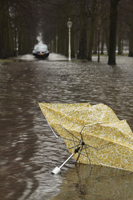 BUITEN BEELD Foto: 116266