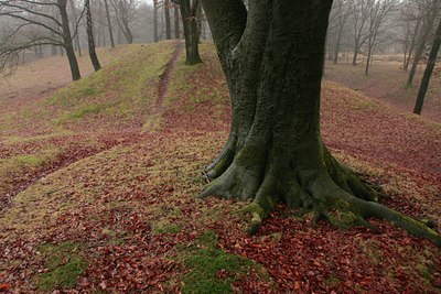 BUITEN BEELD Foto: 116269