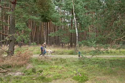 BUITEN BEELD Foto: 116294
