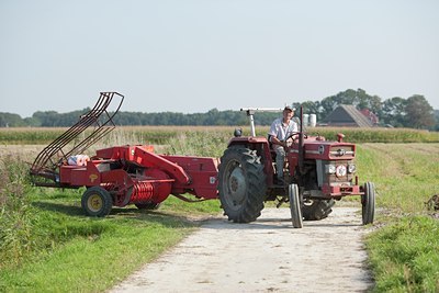 BUITEN BEELD Foto: 116306