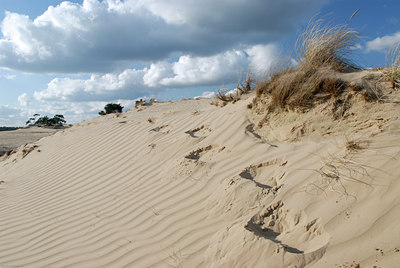 BUITEN BEELD Foto: 116414