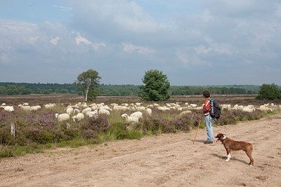 BUITEN BEELD Foto: 116425