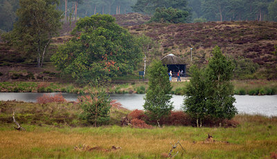 BUITEN BEELD Foto: 116443