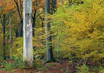 BUITEN BEELD Foto: 116445