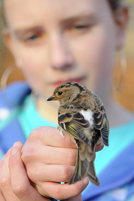 BUITEN BEELD Foto: 116476