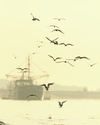 BUITEN BEELD Foto: 116501