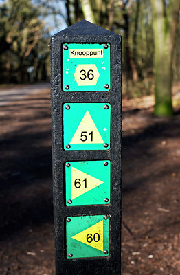 BUITEN BEELD Foto: 116512