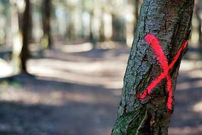 BUITEN BEELD Foto: 116514