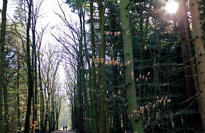 BUITEN BEELD Foto: 116516