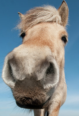 BUITEN BEELD Foto: 116538