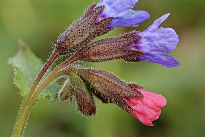 BUITEN BEELD Foto: 116549